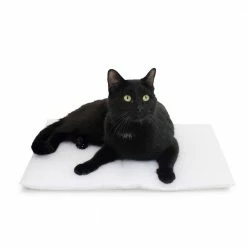 Purr Pad Medium White Bed by Carolina Pet Company