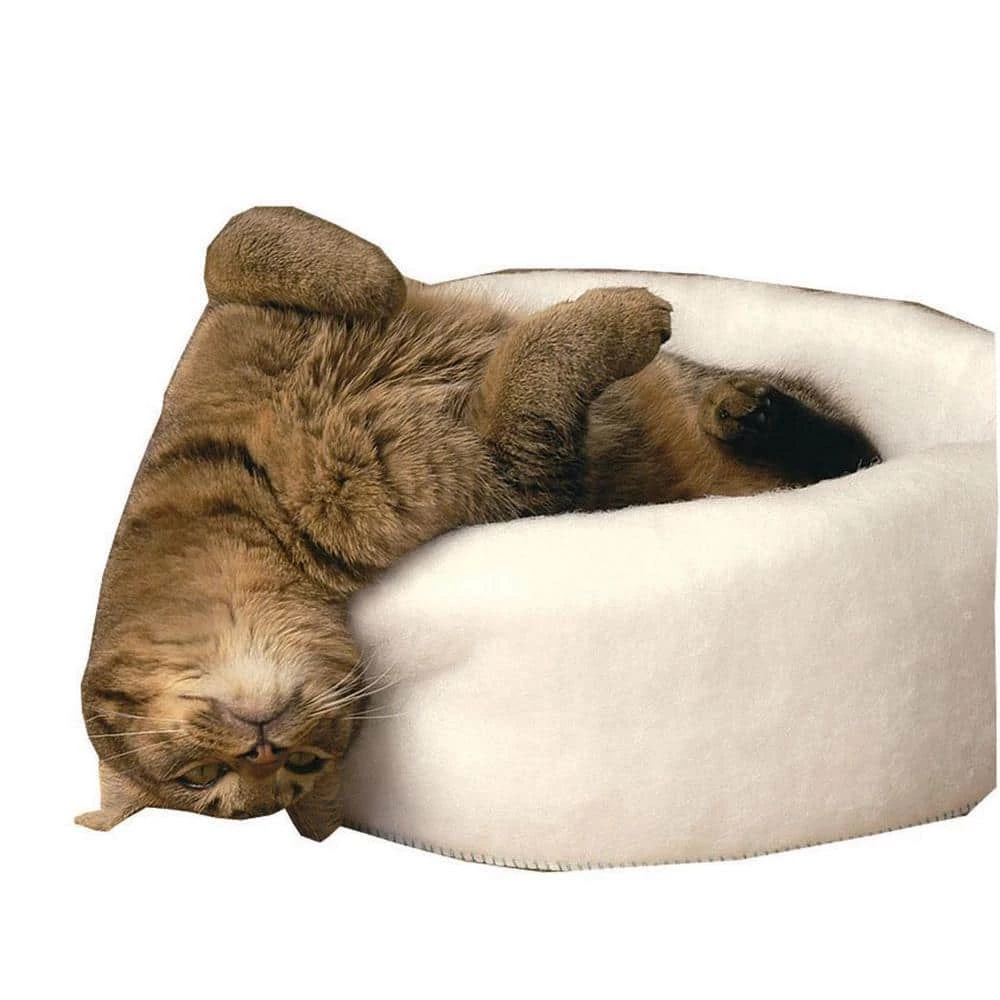 Mysterious Kitty Kup Medium White Bed by Carolina Pet Company