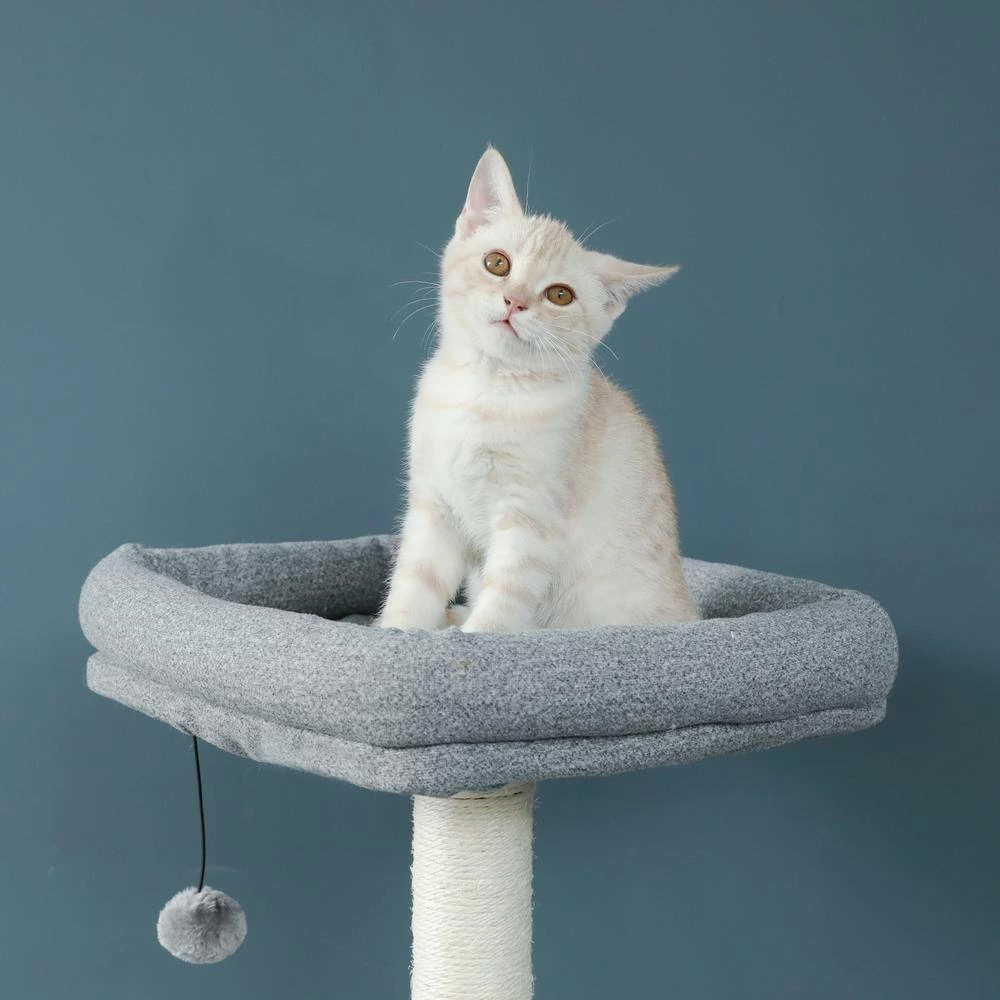61.9 in. H Gray Wooden Cat Tree, Felt Fabric Cat House, Multi-Level Cat Tower with Sisal Covered Scratching Posts by Unbranded - Image 3