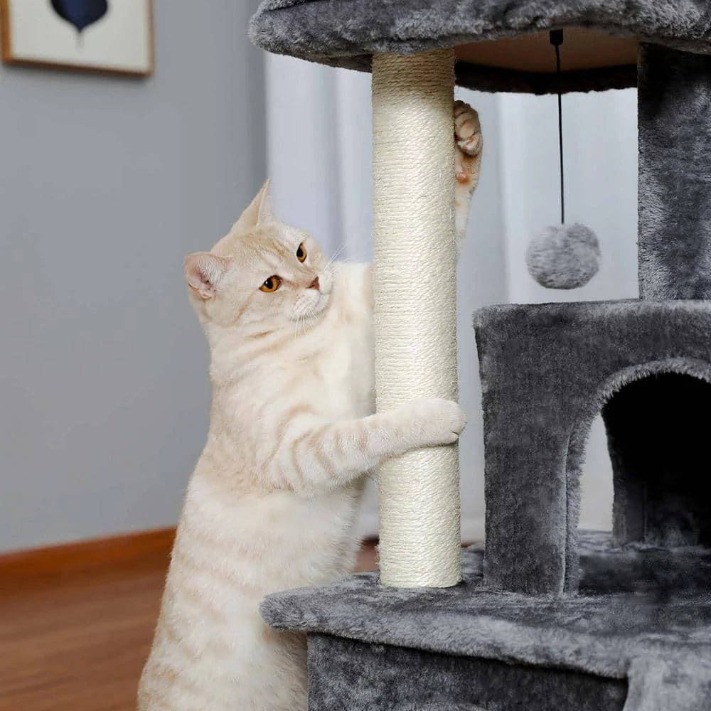 Modern Small Cat Tree Cat Tower With Double Condos Spacious Perch Sisal Scratching Posts by Unbranded - Image 6