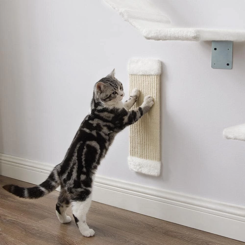 Addison Wall Climber Cat Tree by Sam's Pets - Image 2