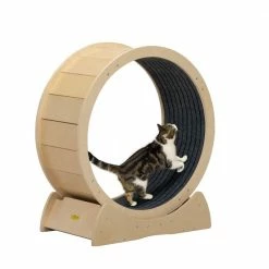 Cat Exercise Wheel Indoor Large Cat Toy with Movable Carpet by COZIWOW