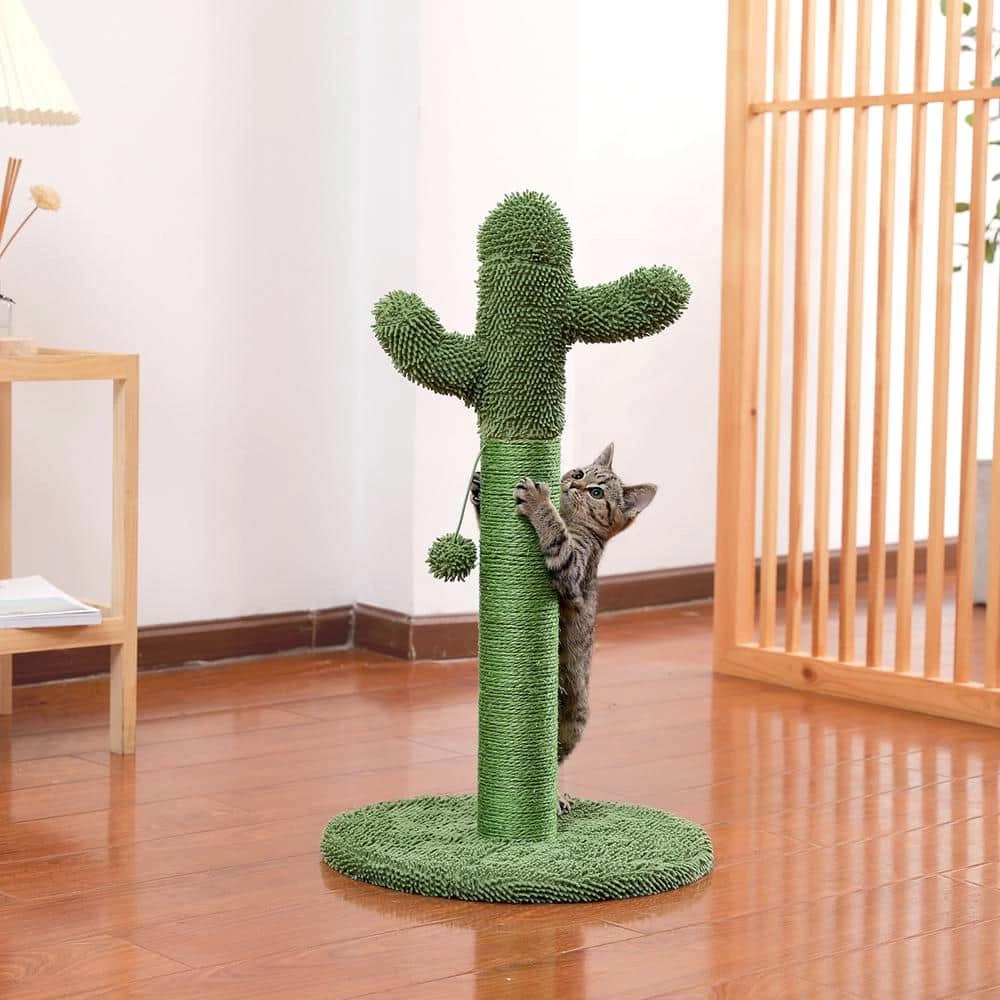 27.60 in. H Lovely Cactus Pet Cats Scratching Posts and Trees with Interactive Ball in Green by Foobrues - Image 3