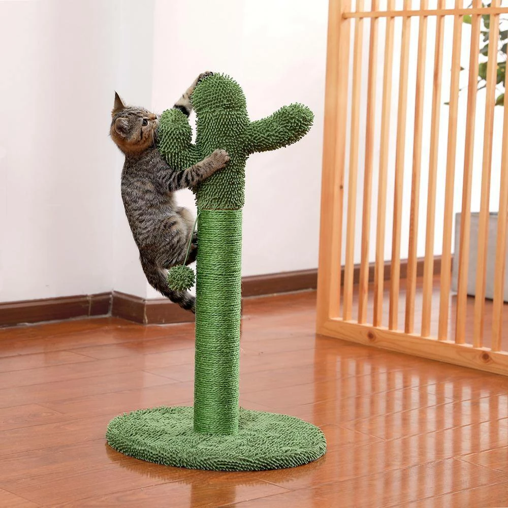 27.60 in. H Lovely Cactus Pet Cats Scratching Posts and Trees with Interactive Ball in Green by Foobrues - Image 2