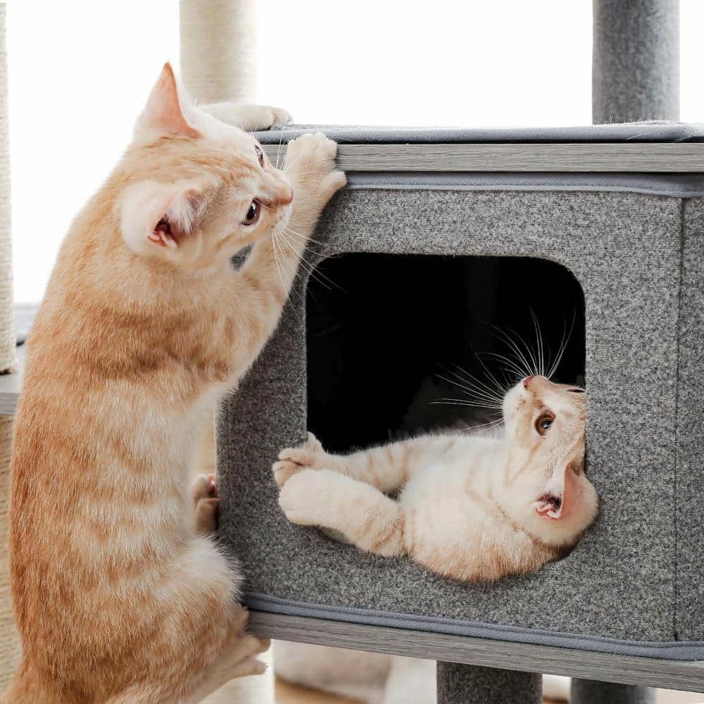 50.8 in. H Pet Cat Scratching Posts and Trees Cat House in Gray by Foobrues - Image 4