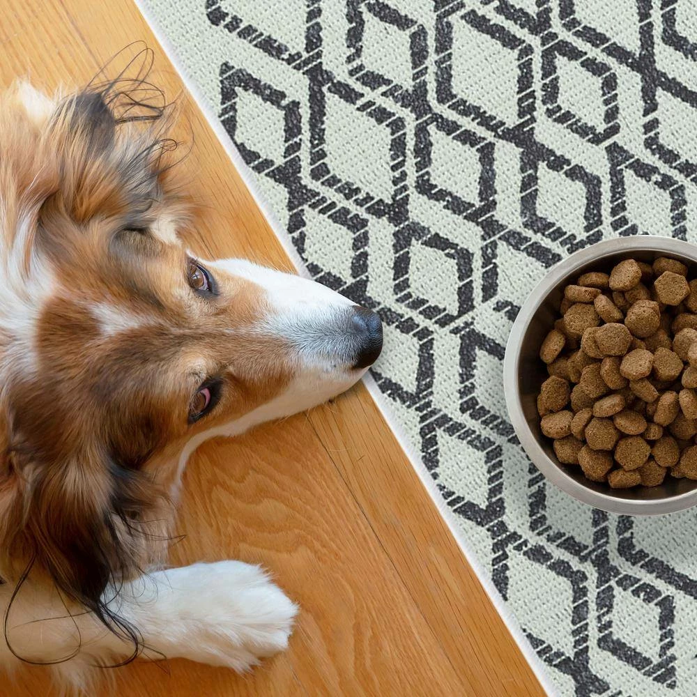 2 ft. x 4 ft. Mat Cat and Dog Litter Mat for Litter Box by SUSSEXHOME - Image 7