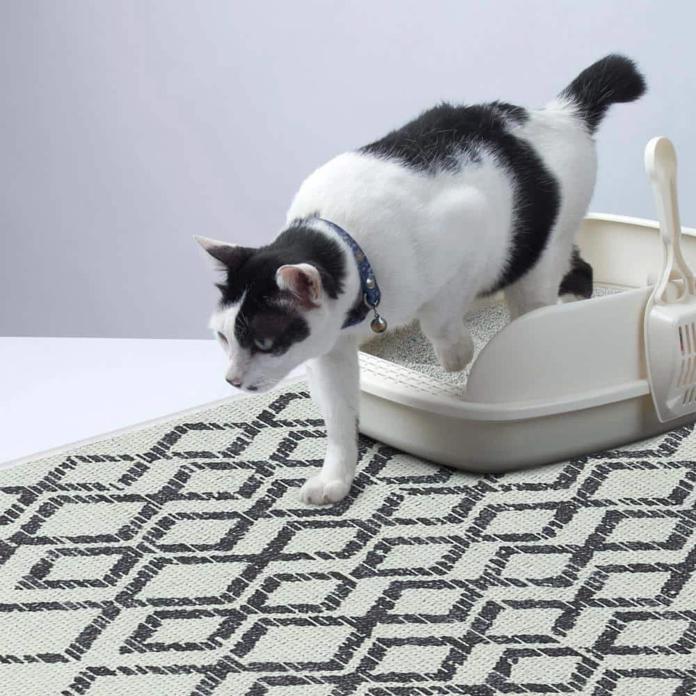2 ft. x 4 ft. Mat Cat and Dog Litter Mat for Litter Box by SUSSEXHOME - Image 2