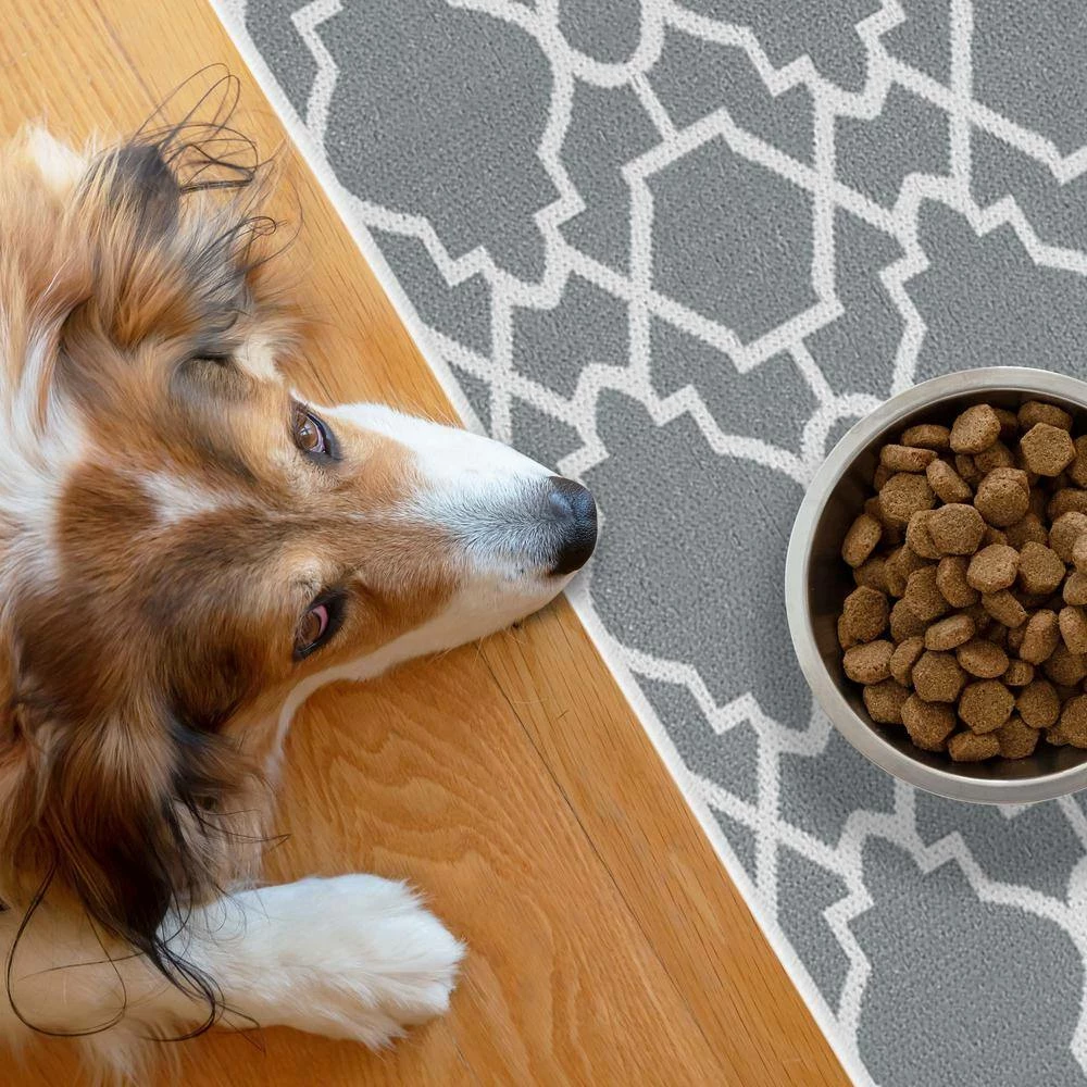 2 ft. x 4 ft. Mat Cat and Dog Litter Mat for Litter Box by SUSSEXHOME - Image 7