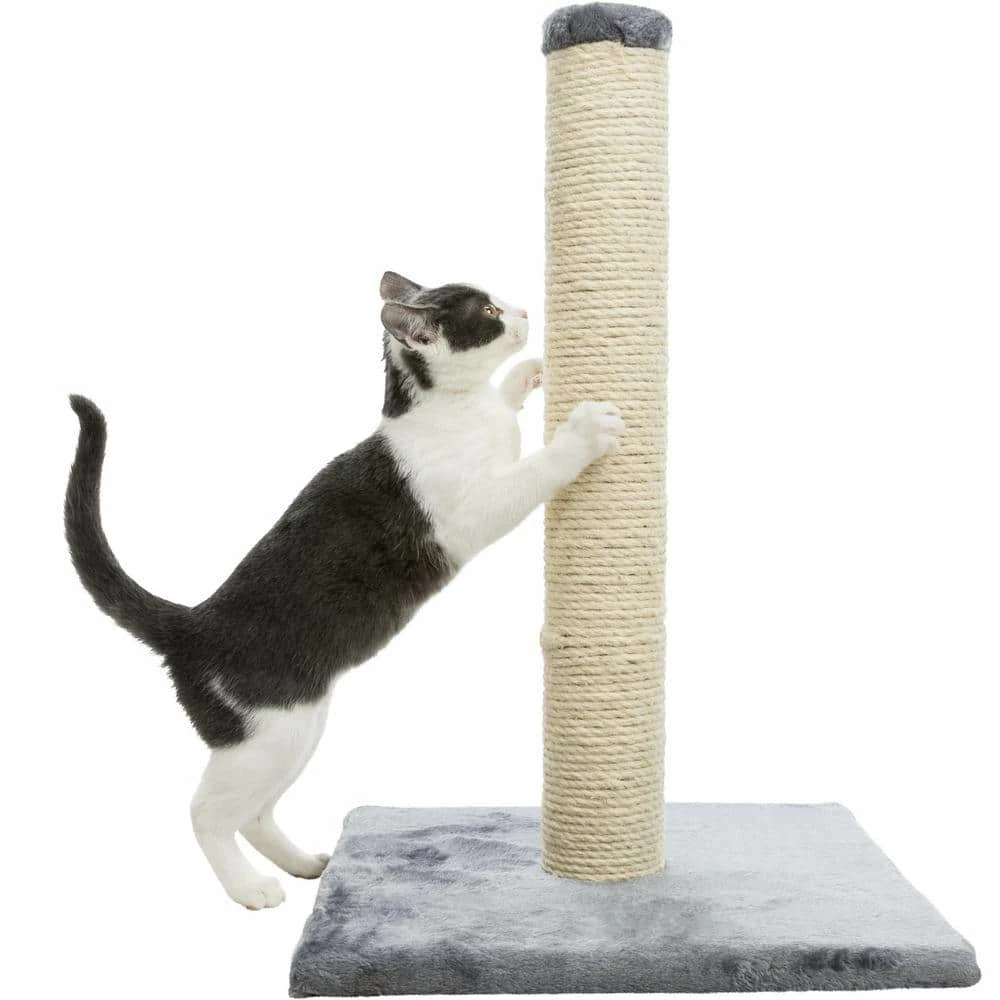 Parla Scratching Post, Dark Gray by TRIXIE - Image 4