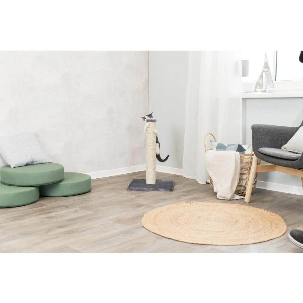 Parla Scratching Post, Dark Gray by TRIXIE - Image 6