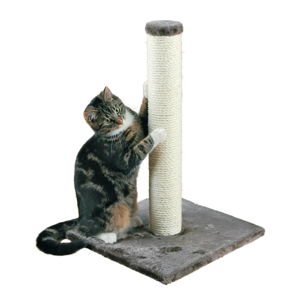 Parla Scratching Post, Dark Gray by TRIXIE - Image 2